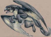 /album/galleria-fotografica/gryphon-12-1-jpg/